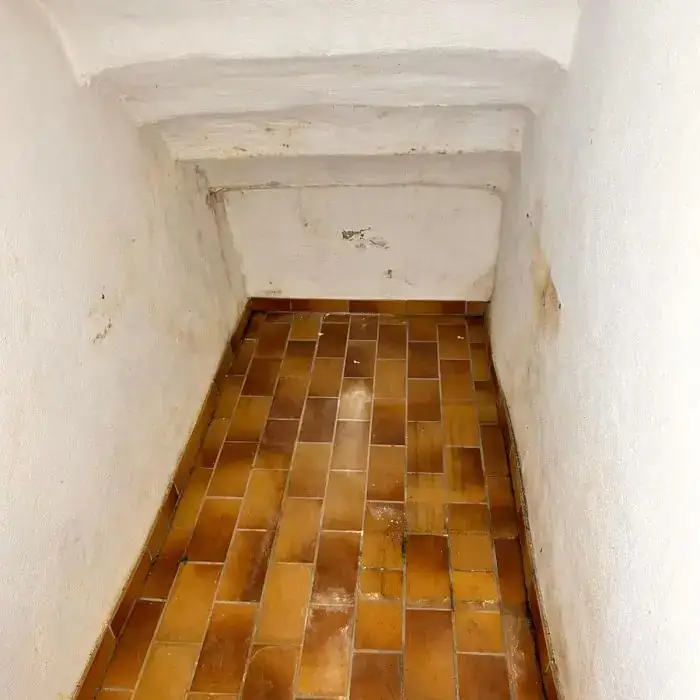 WhatsApp-Image-2025-01-26-at-16.58.51-6-700x700_ergebnis